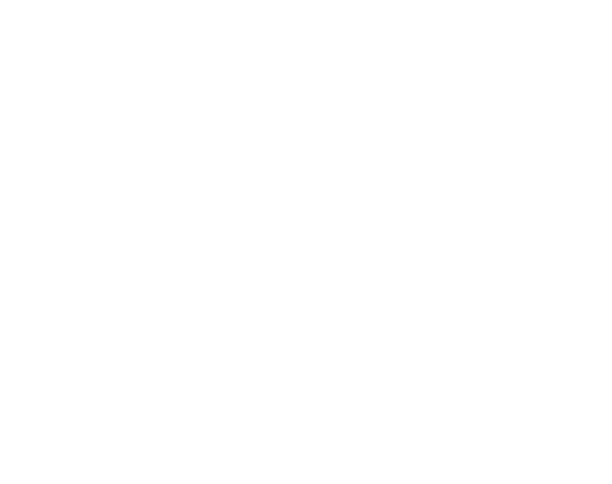 Crocodile Tours logo
